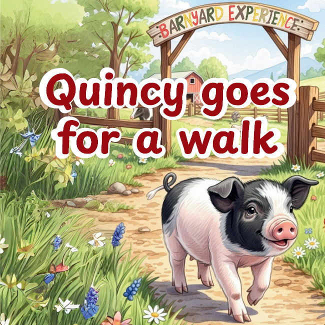 Quincy the Pig