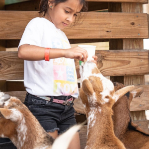 Petting Zoo South Florida
