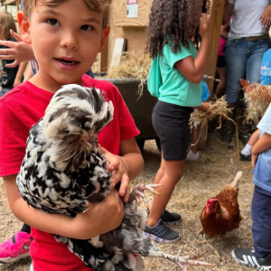 Redstone Ranch Petting Zoo