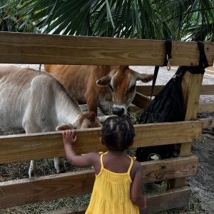 barnyard-pettting zoo