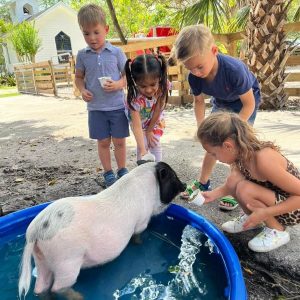 farm birthday party