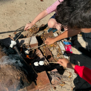 homeschool activity