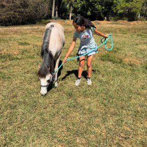 homeschool program broward county