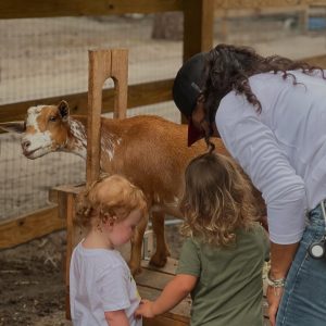homeschool program coconut creek FL