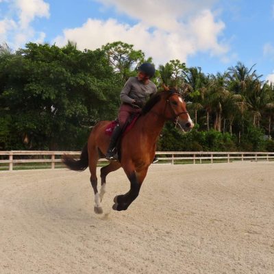 horseback riding lessons