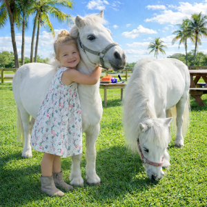 mini horse