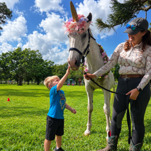redstone-ranch-unicorn